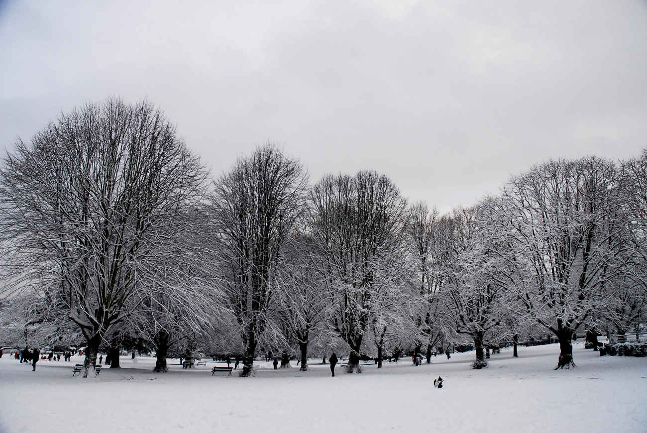 St Andrews, Bristol Area guide